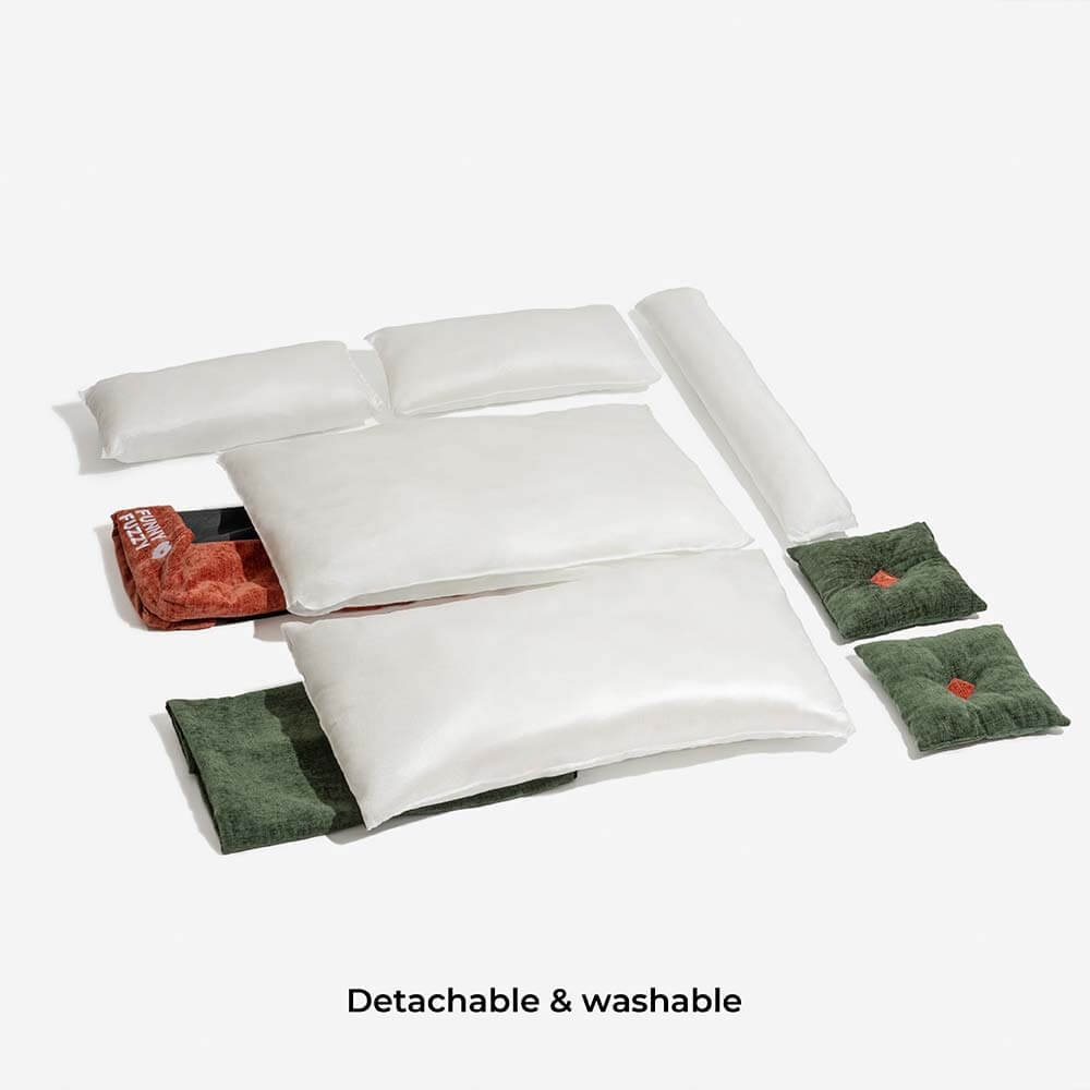 dog bed test-1
