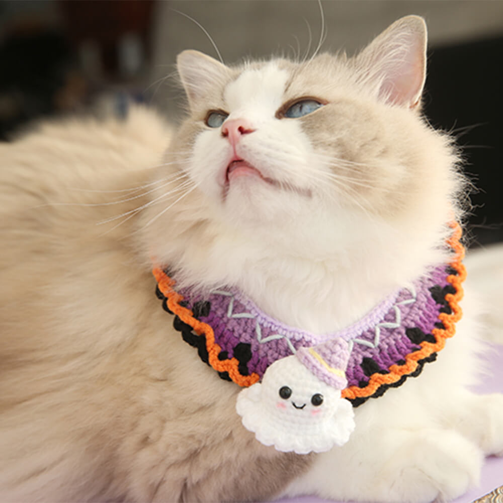 Costume d'Halloween pour animaux de compagnie, collier de citrouille tricoté à la main et chapeau de sorcière