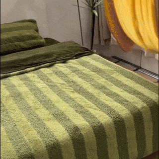 test-dog bed