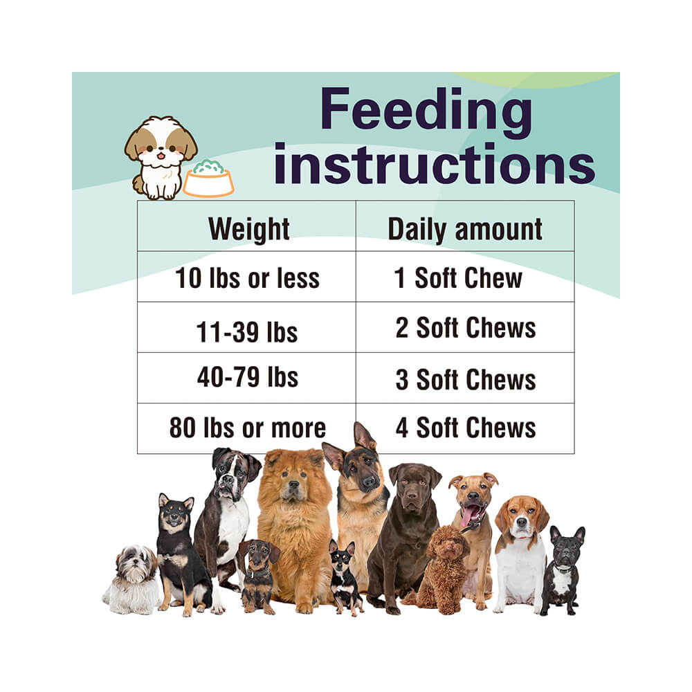 Dog Probiotic Soft Chews Support Digestive Health & Gut Flora Balance - 120 Count