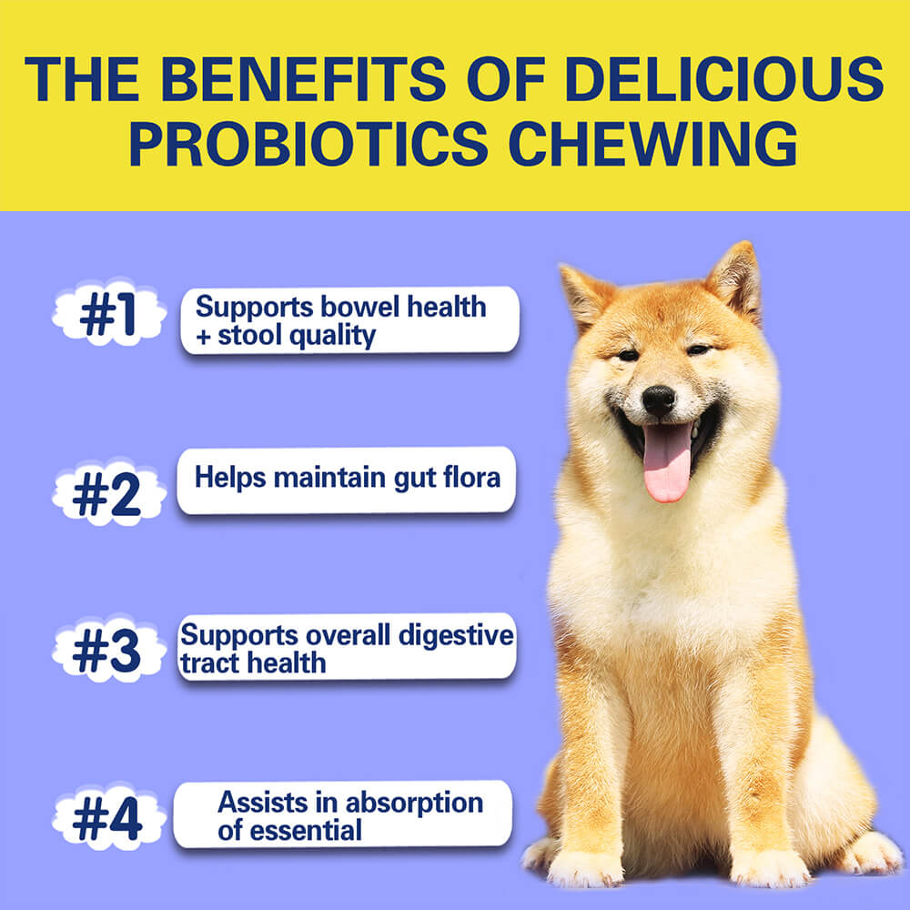 Dog Probiotic Soft Chews Support Digestive Health & Gut Flora Balance - 120 Count