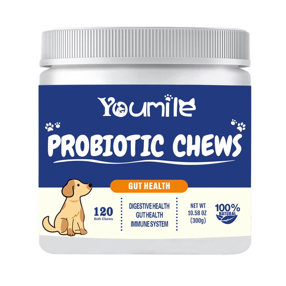 Dog Probiotic Soft Chews Support Digestive Health & Gut Flora Balance - 120 Count