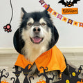 Costume d'aile de chauve-souris d'Halloween, cape de chauve-souris pour chien