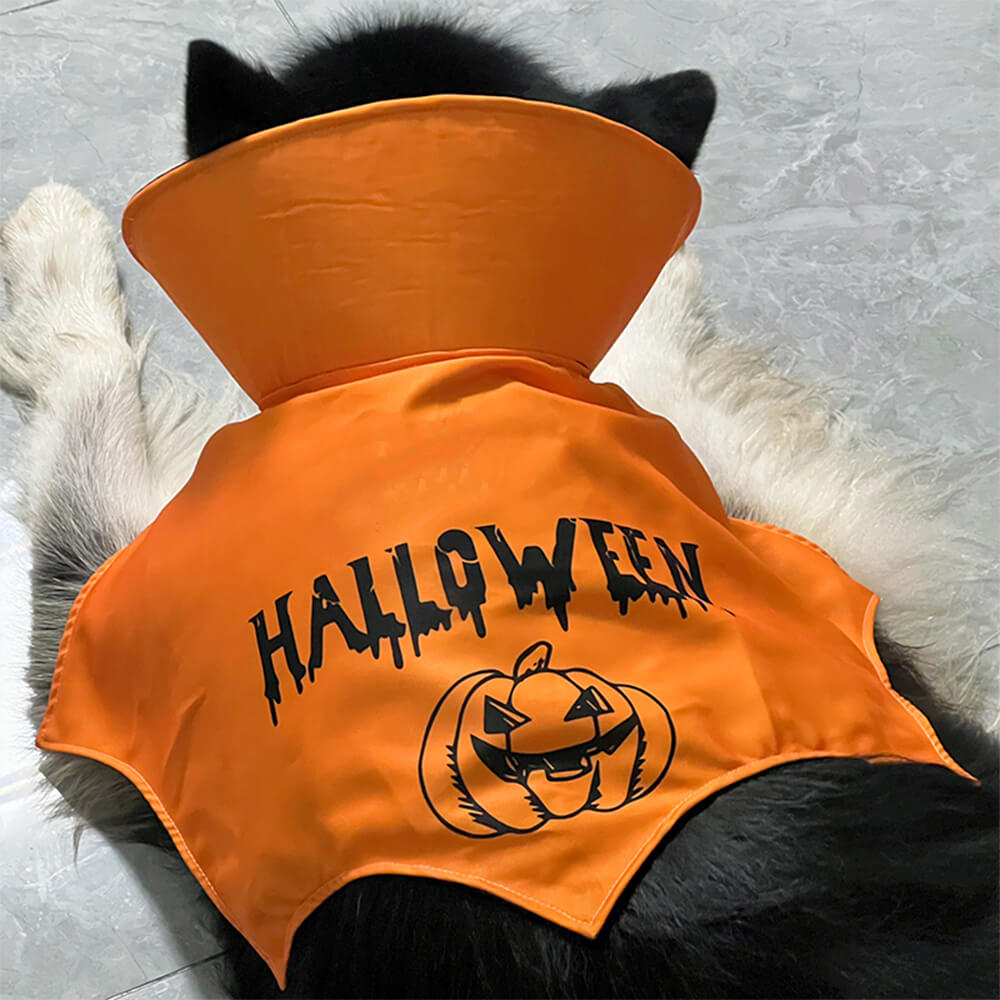 Costume d'aile de chauve-souris d'Halloween, cape de chauve-souris pour chien