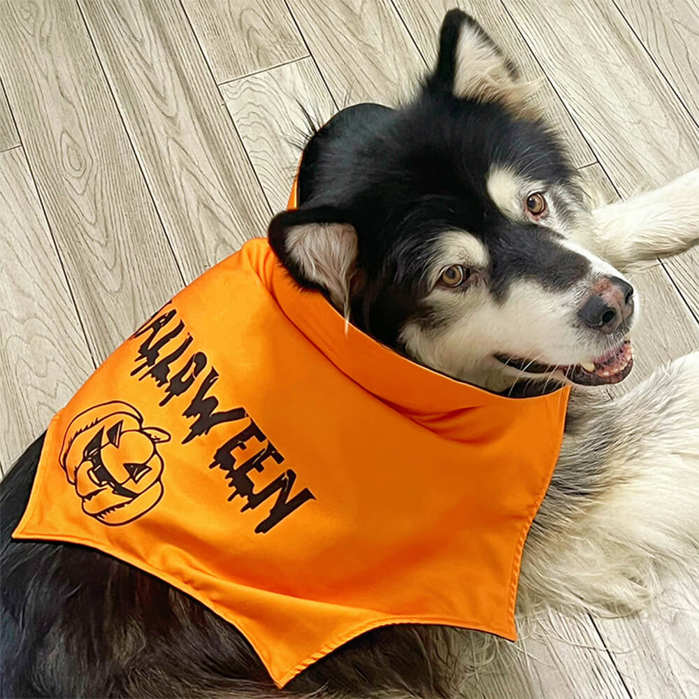 Costume d'aile de chauve-souris d'Halloween, cape de chauve-souris pour chien