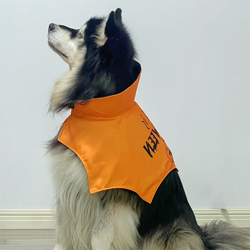 Costume d'aile de chauve-souris d'Halloween, cape de chauve-souris pour chien