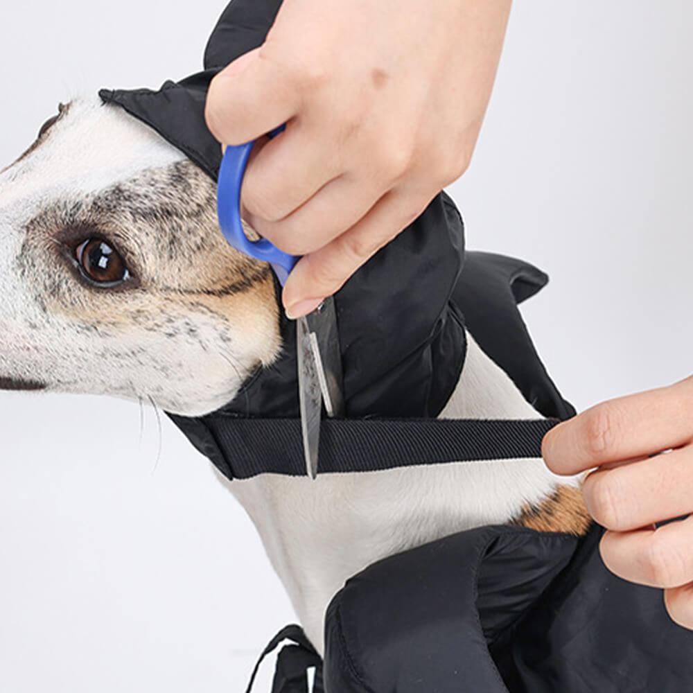 Costume de cape de sorcière d'Halloween, vêtements pour animaux de compagnie