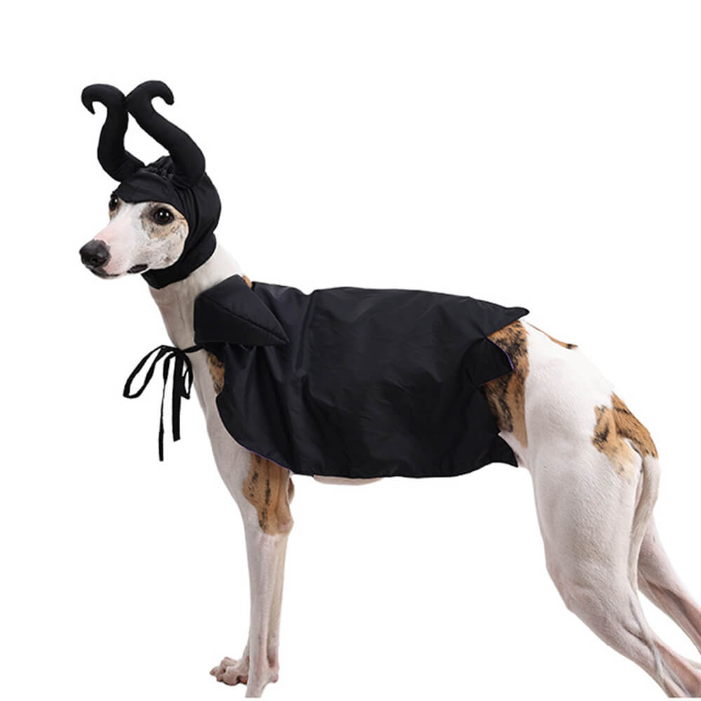 Costume de cape de sorcière d'Halloween, vêtements pour animaux de compagnie