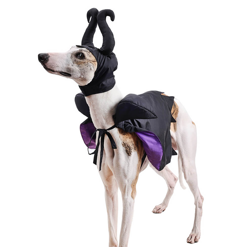 Costume de cape de sorcière d'Halloween, vêtements pour animaux de compagnie