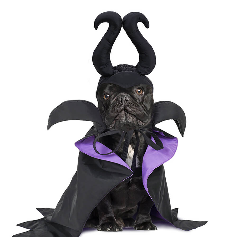 Costume de cape de sorcière d'Halloween, vêtements pour animaux de compagnie