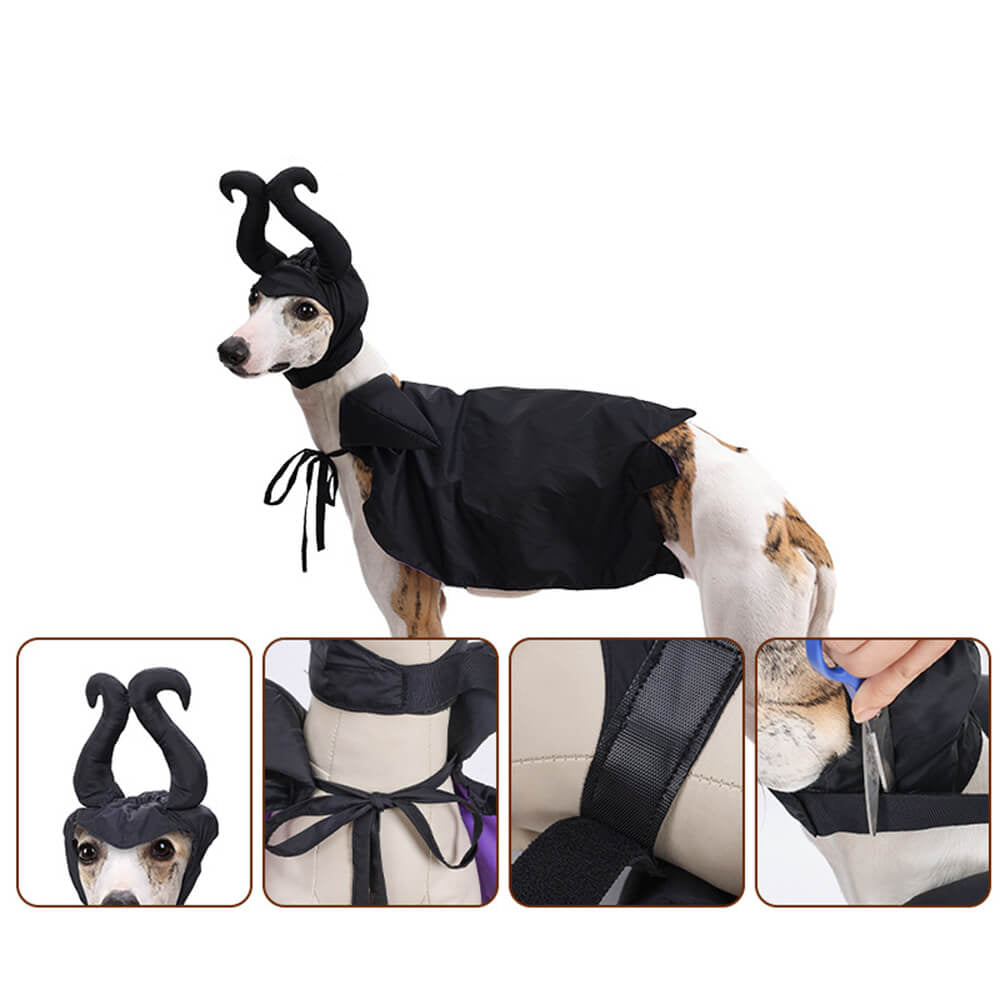 Costume de cape de sorcière d'Halloween, vêtements pour animaux de compagnie