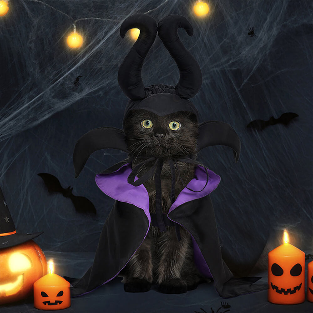 Costume de cape de sorcière d'Halloween, vêtements pour animaux de compagnie