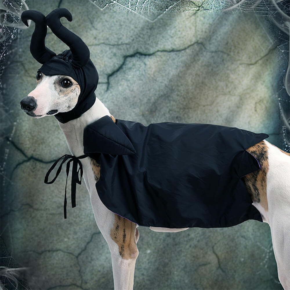 Costume de cape de sorcière d'Halloween, vêtements pour animaux de compagnie