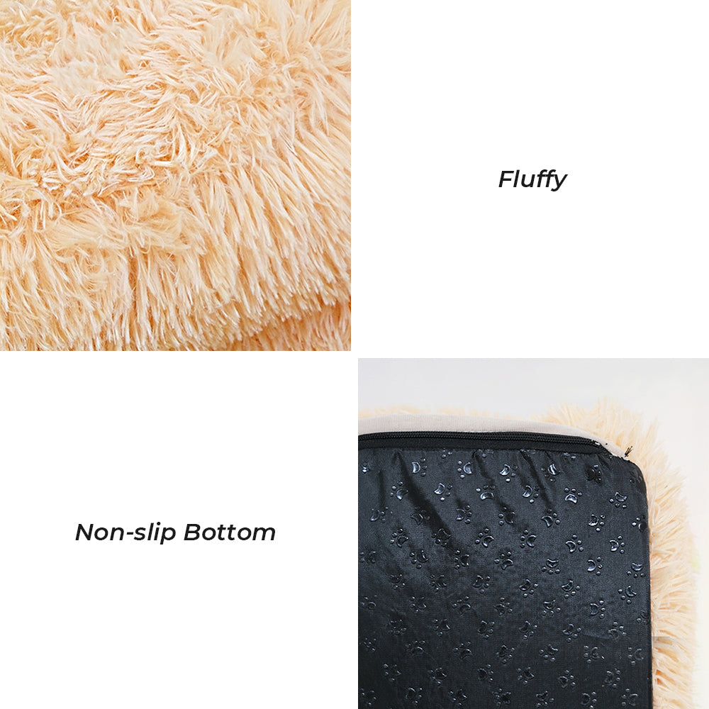 Offrez à votre ami à quatre pattes
