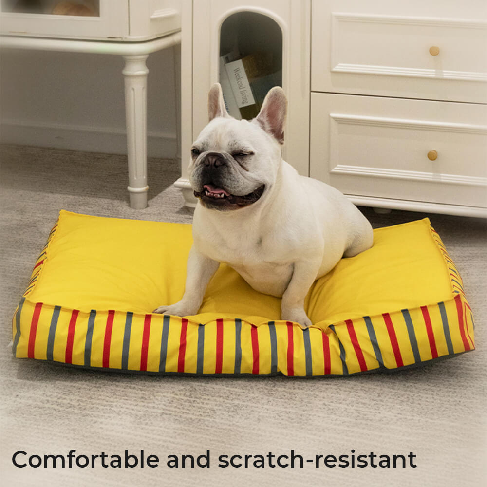 dog bed test-1