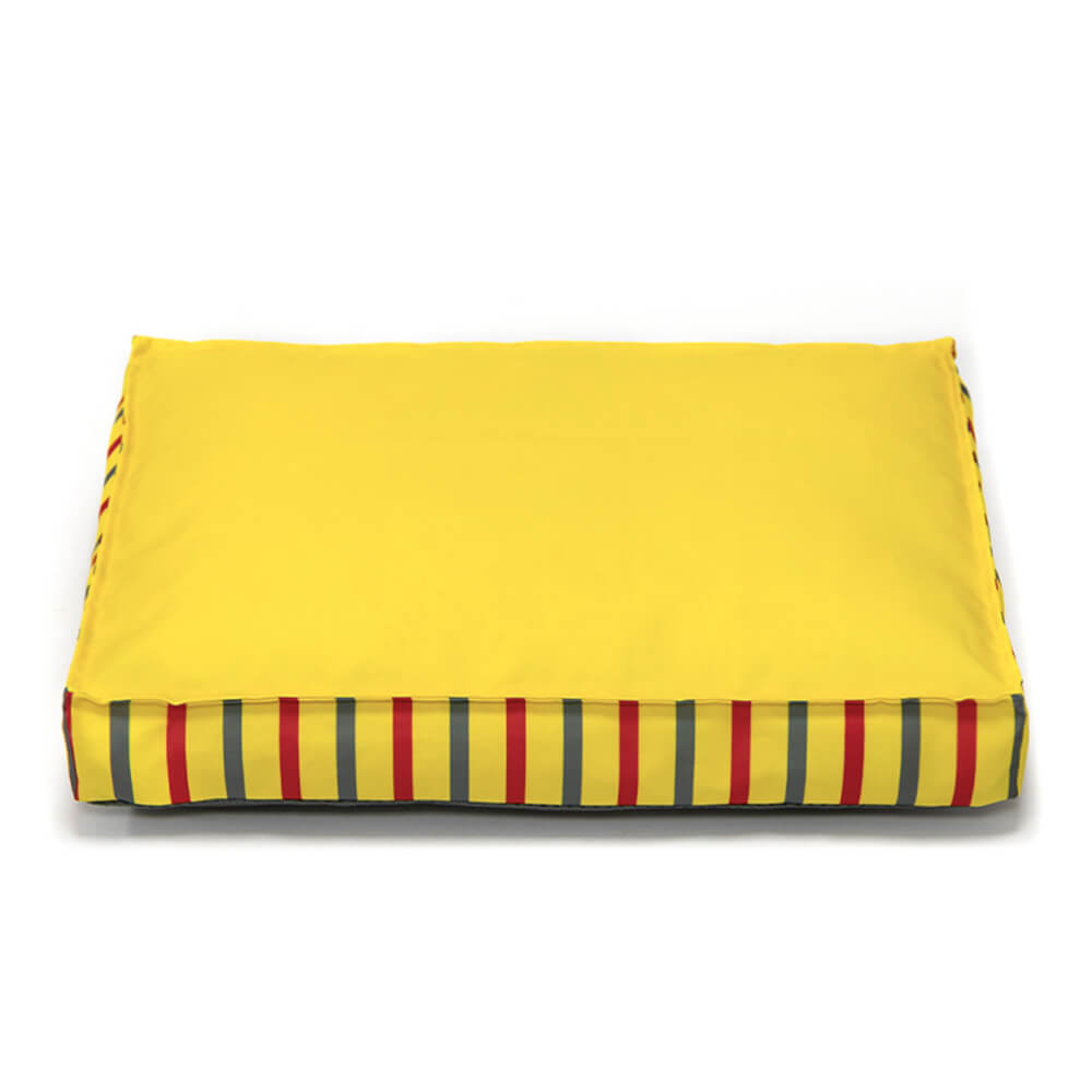 dog bed test-1
