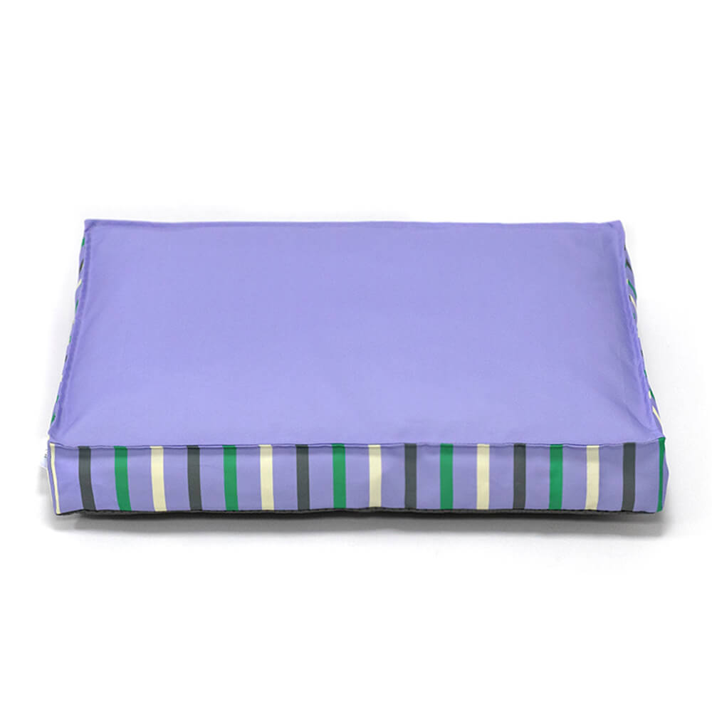 dog bed test-1