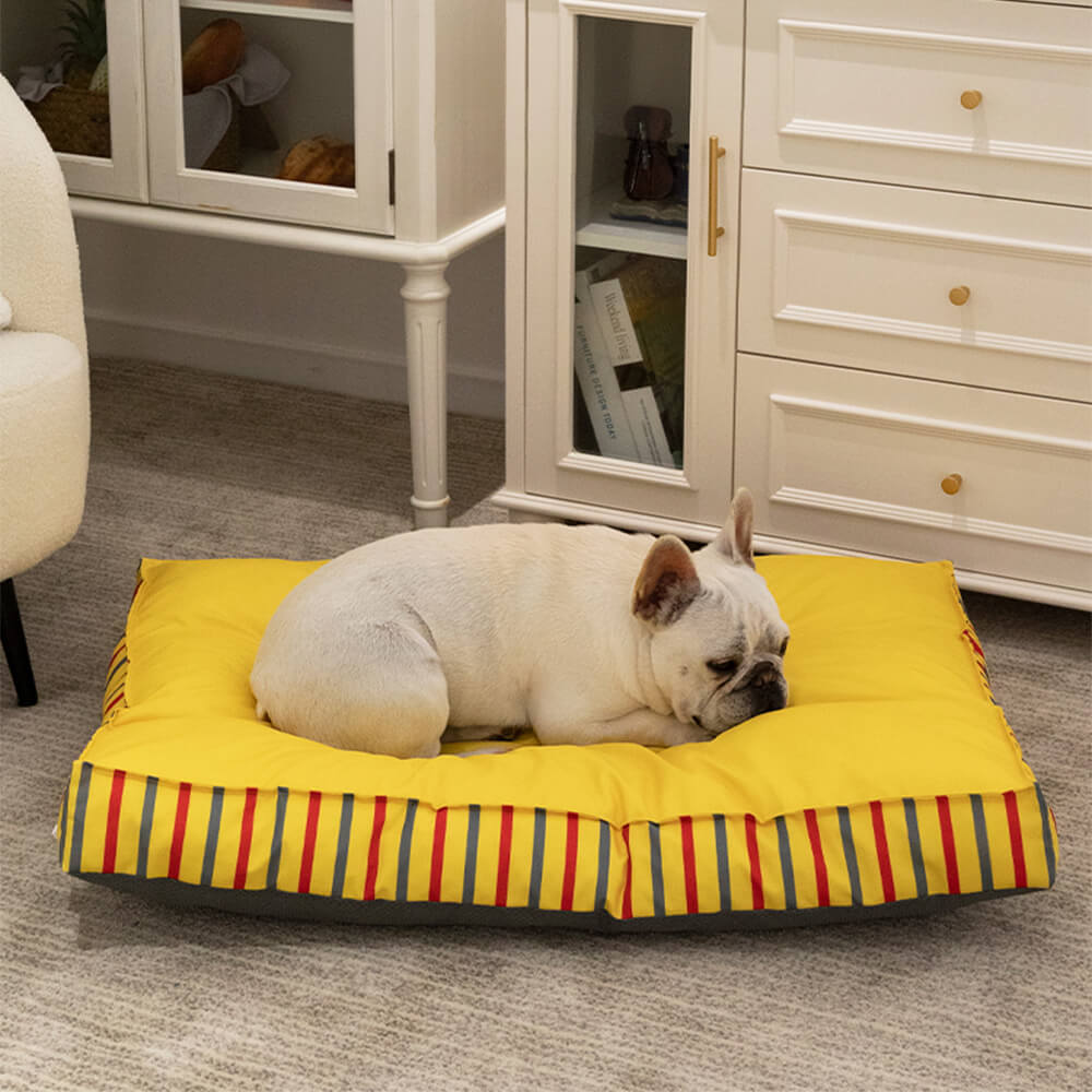 dog bed test-1