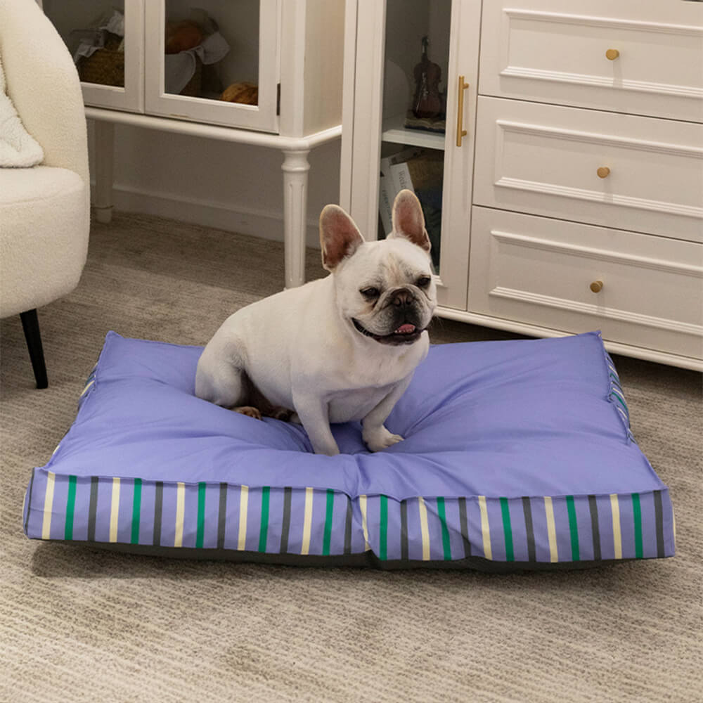 dog bed test-1