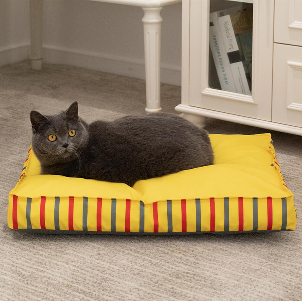 dog bed test-1