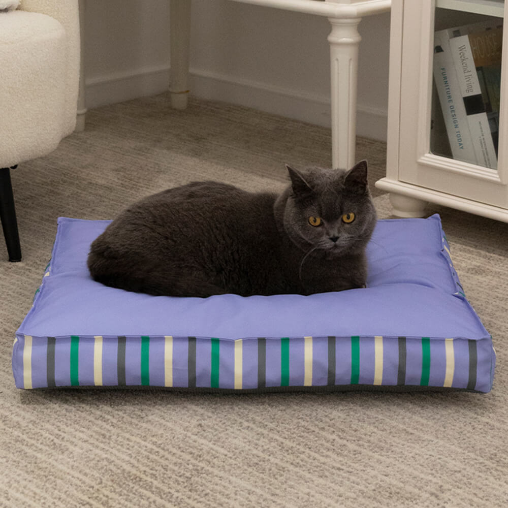 dog bed test-1