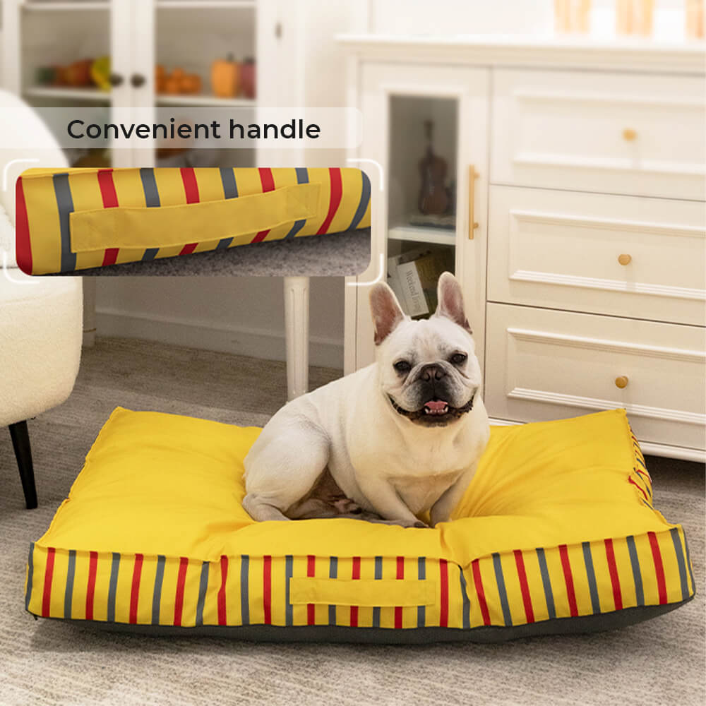 dog bed test-1