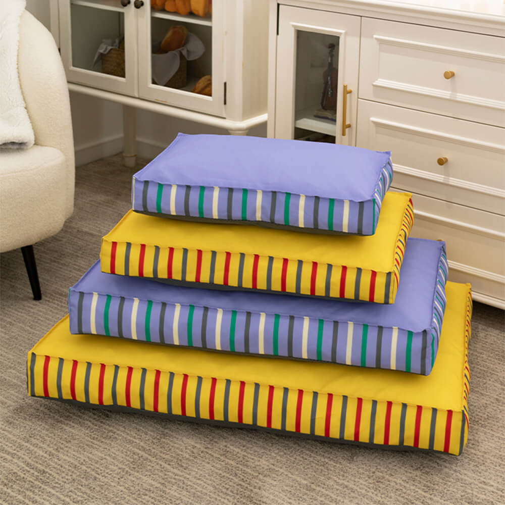dog bed test-1