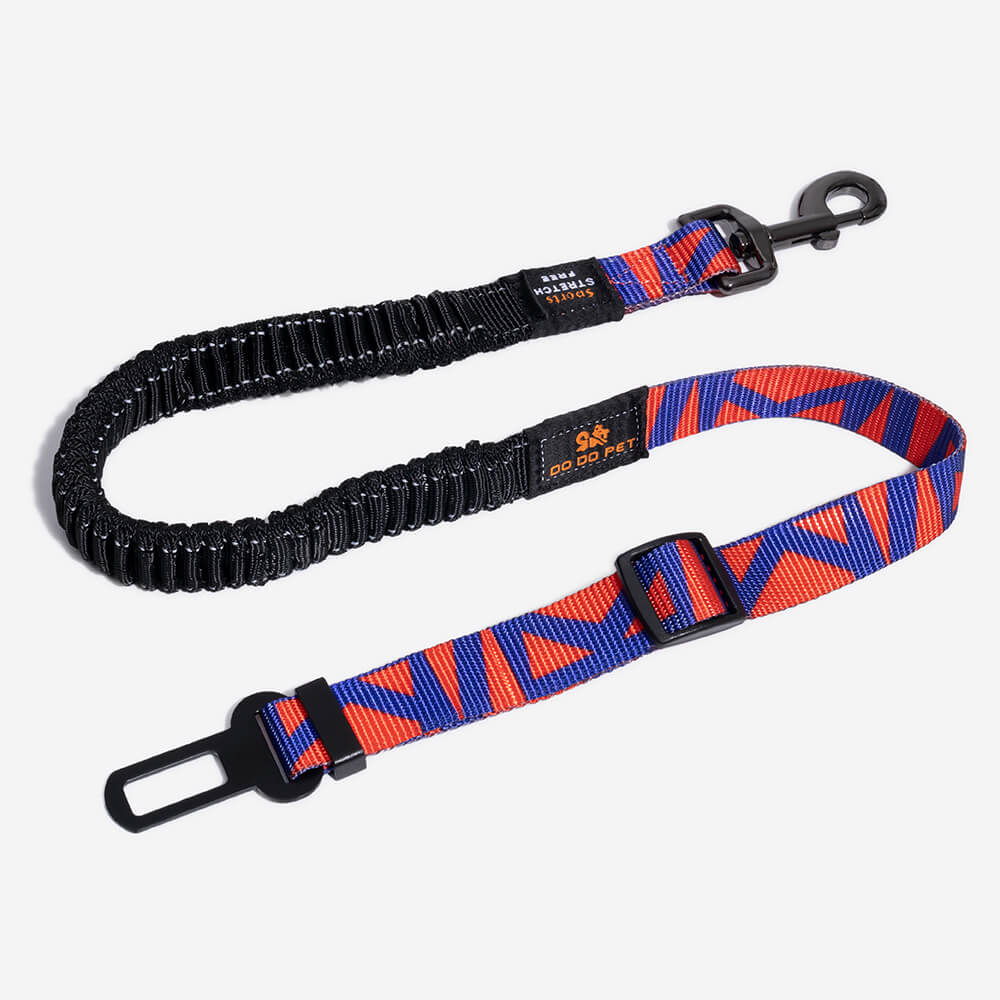 Ceinture de sécurité pour chien réglable et colorée12