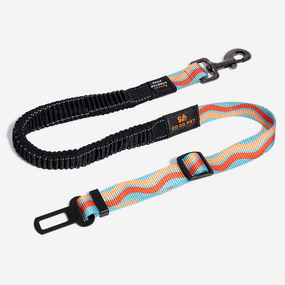 Ceinture de sécurité pour chien réglable et colorée12