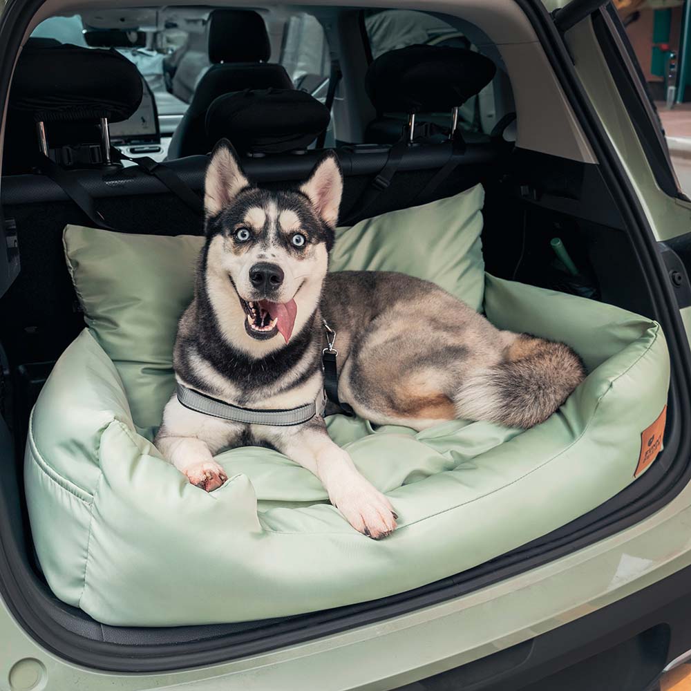 Reise-Hundebett Sicherheitswasserfest Mittel-Groß für die Rückbank im Auto