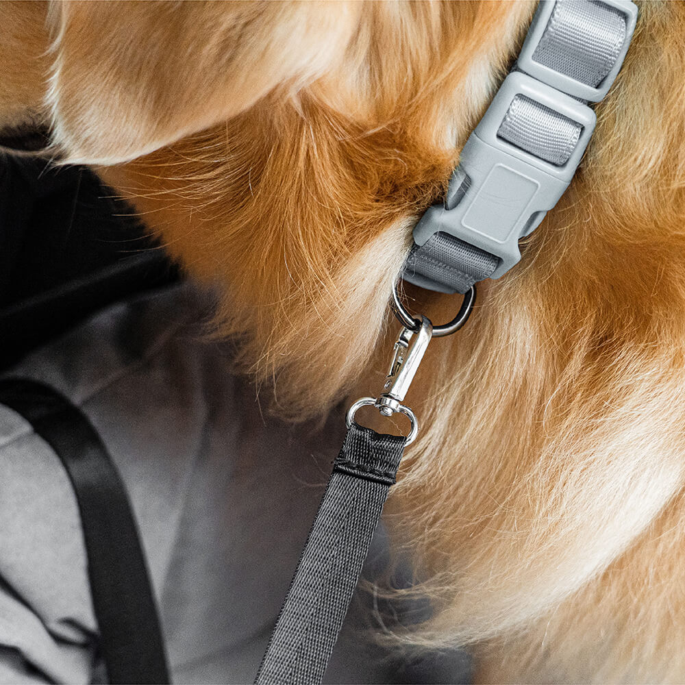 Reise-Hundebett Sicherheitswasserfest Mittel-Groß für die Rückbank im Auto