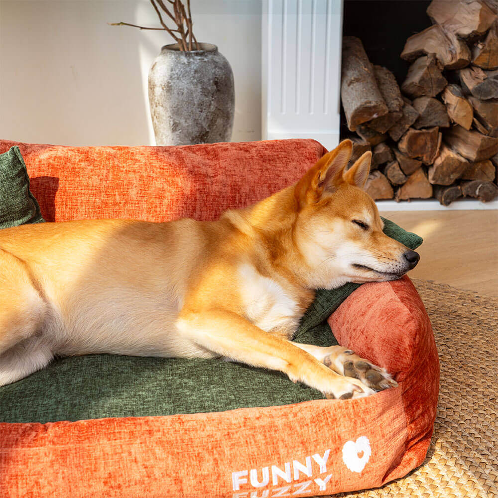 dog bed test-1