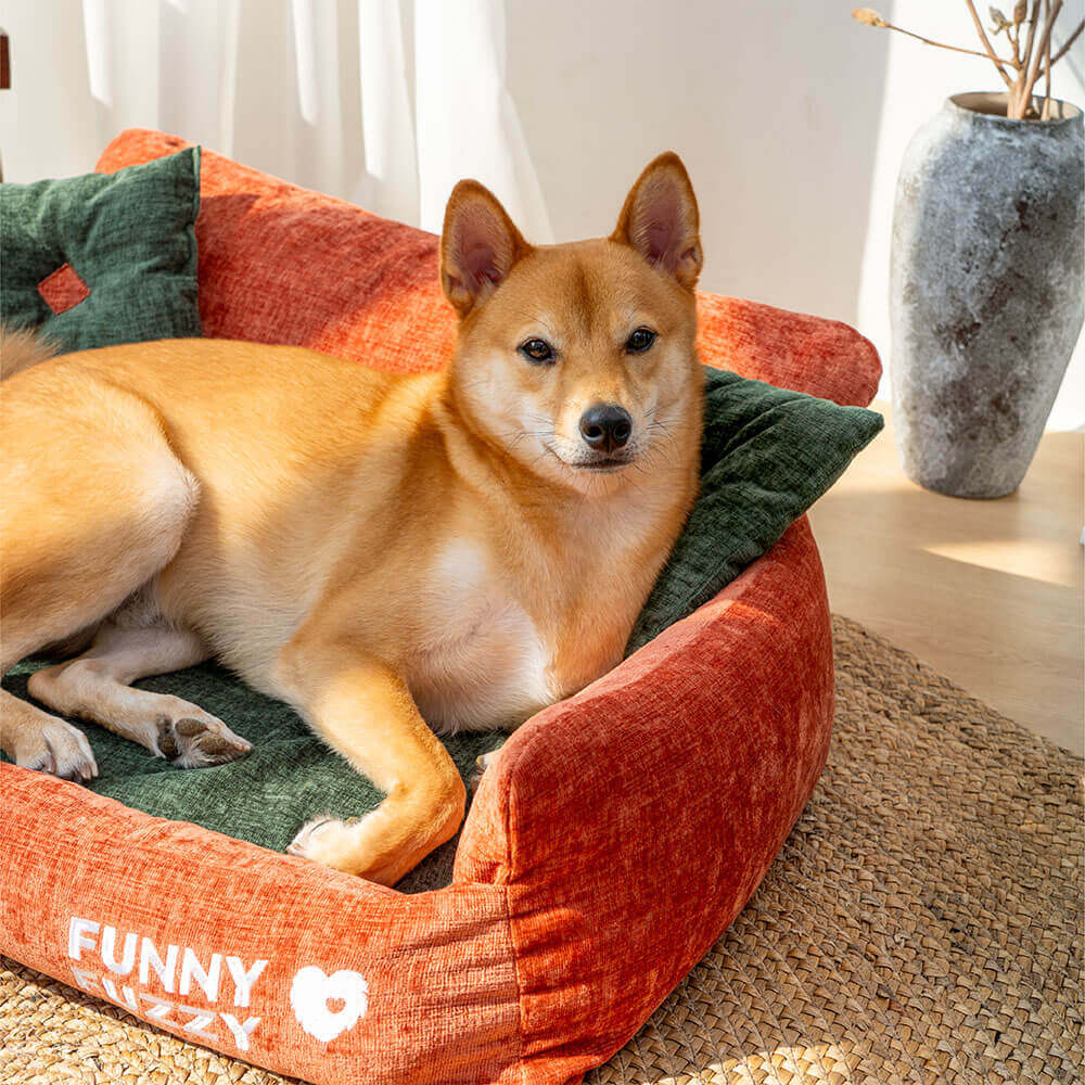 dog bed test-1