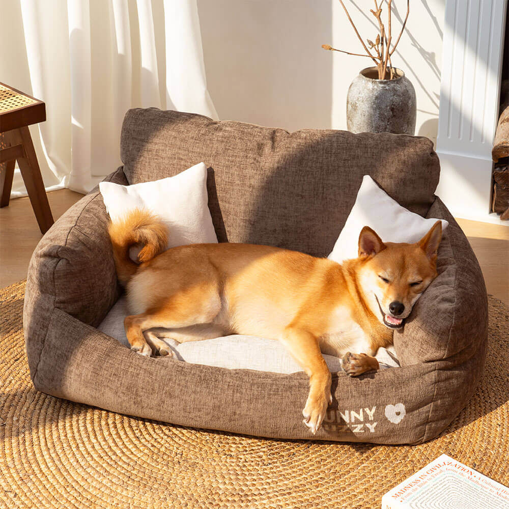 dog bed test-1