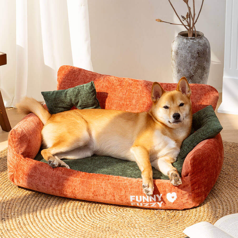 dog bed test-1