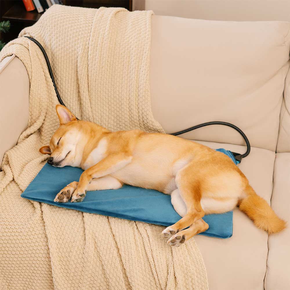 Coussin chauffant électrique pour animaux de compagnie, imperméable et résistant aux morsures - Chaleur sûre