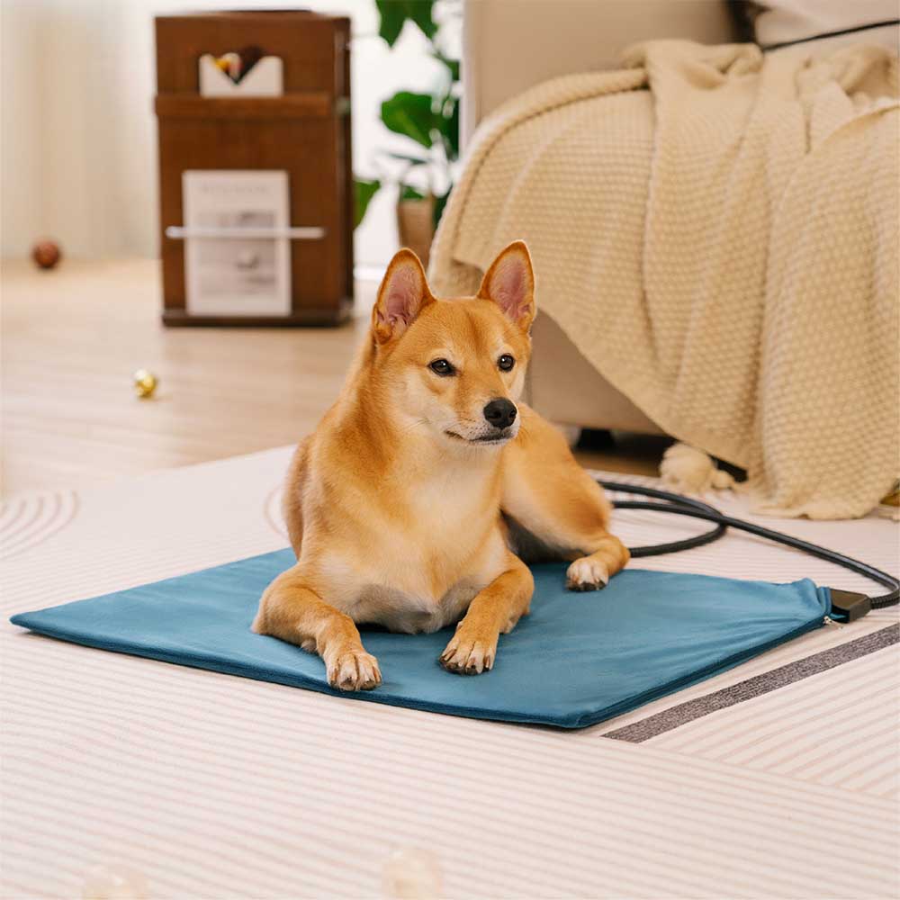 Coussin chauffant électrique pour animaux de compagnie, imperméable et résistant aux morsures - Chaleur sûre