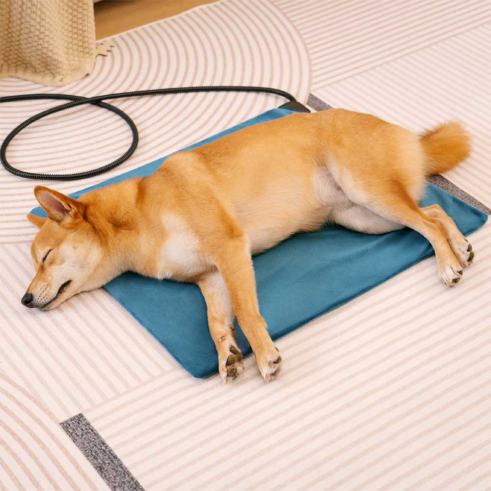 Coussin chauffant électrique pour animaux de compagnie, imperméable et résistant aux morsures - Chaleur sûre