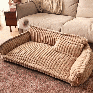 test-dog bed