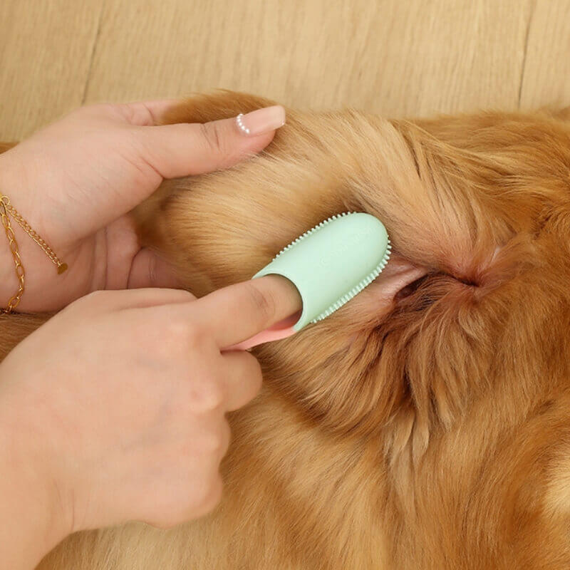 Tierzahnbürste Fingerzahnbürste zur Zahnreinigung