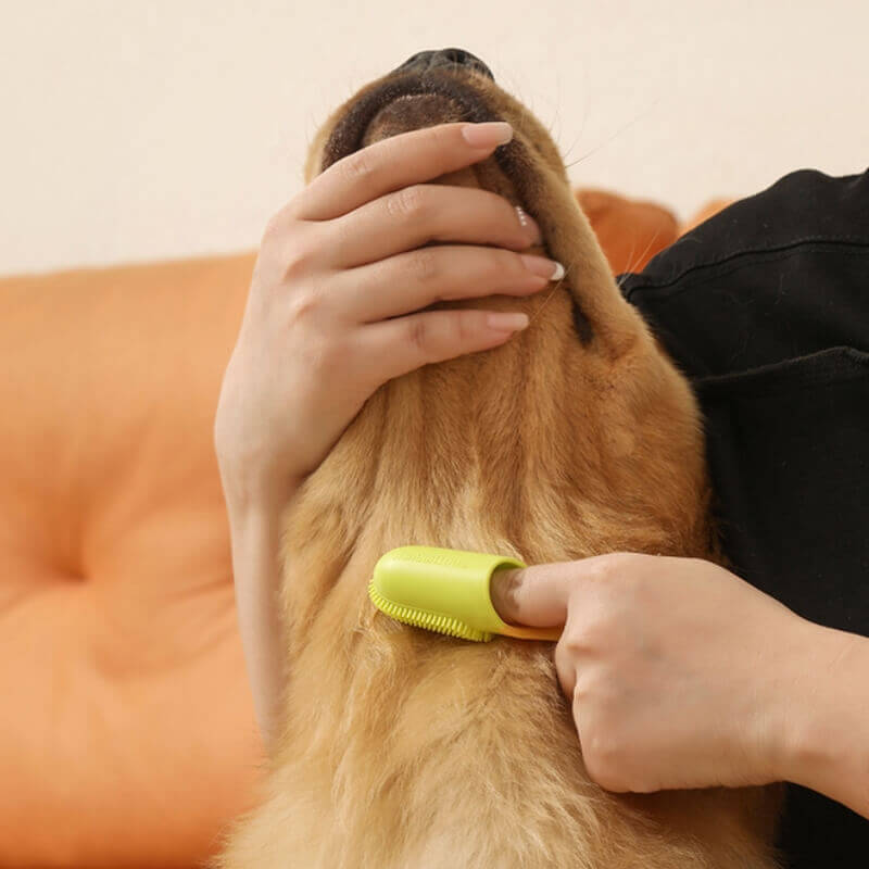 Tierzahnbürste Fingerzahnbürste zur Zahnreinigung