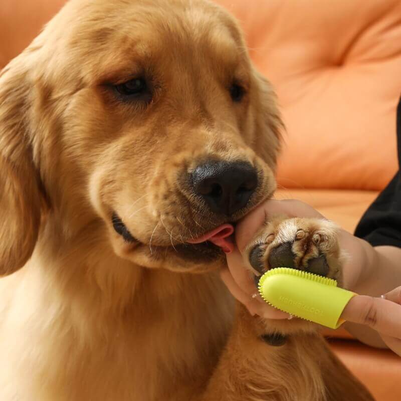 Tierzahnbürste Fingerzahnbürste zur Zahnreinigung